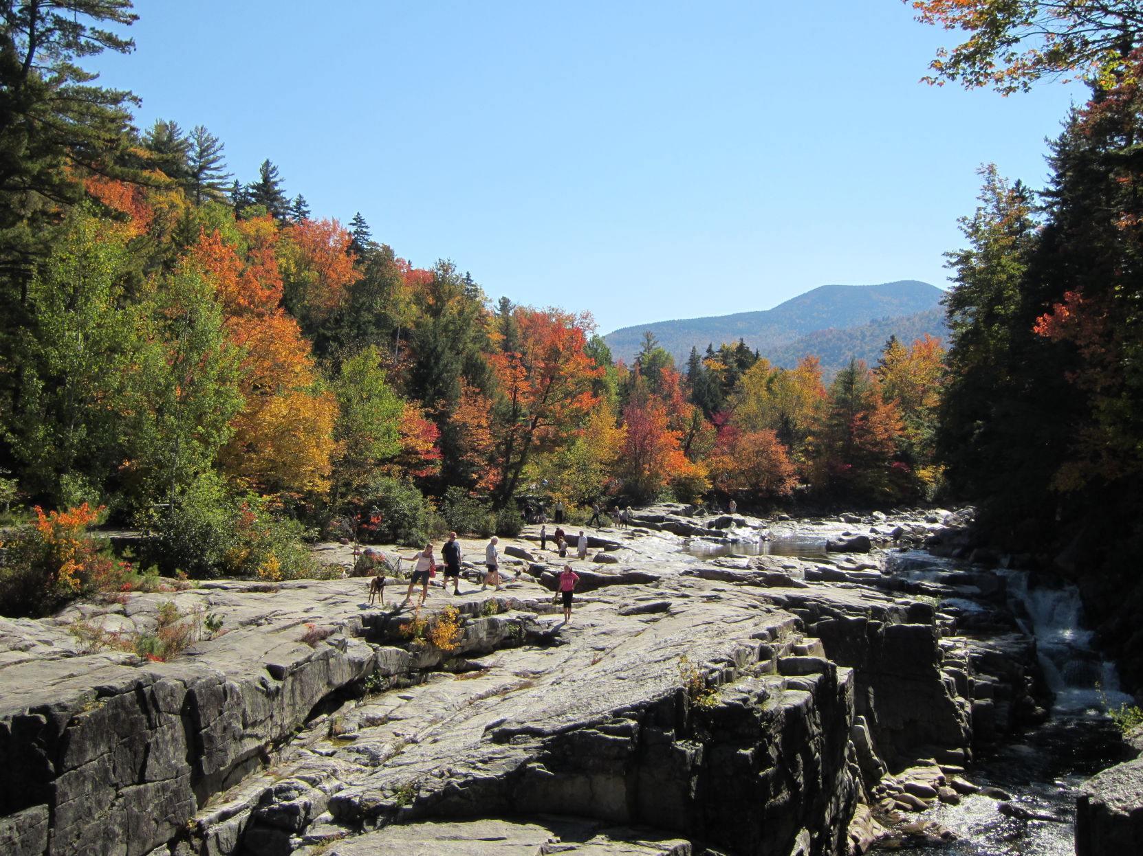 Leaf Peeping